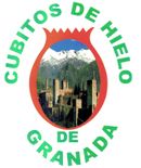 Cubitos De Hielo Granada